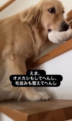 エマちゃんとパパさんの再会4