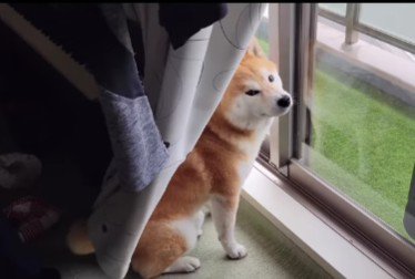 「お風呂は今度にするわ」