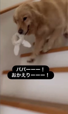 エマちゃんとパパさんの再会5