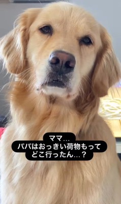 エマちゃんとパパさんの再会