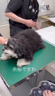 健気な姿にホッコリ♡