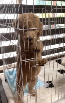 生後2か月のカムくん2