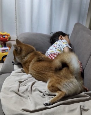 男の子に寄りそう犬