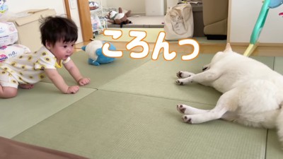 ころんっ