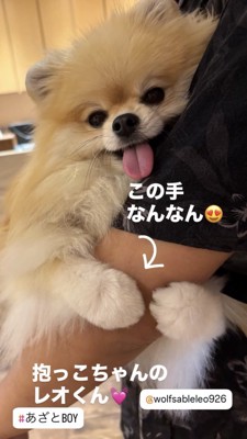 抱っこ