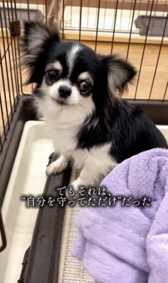 「なにするの…？」