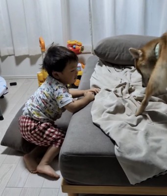 ソファに登ろうとする男の子
