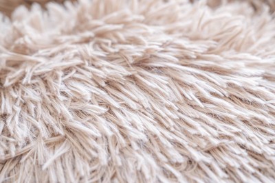 毛足の長い絨毯