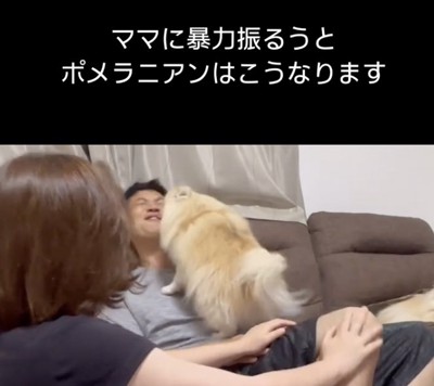 なぜかパパを取り締まり