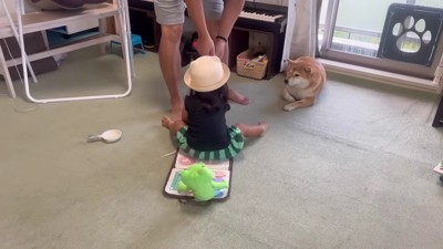 パパにやってもらおう