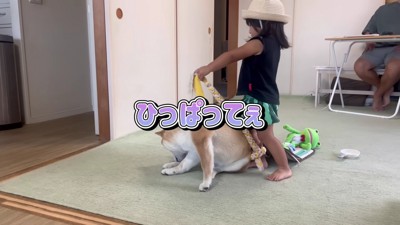 「まだまだ足りない!」