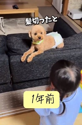 ふうたくんに尋ねる女の子