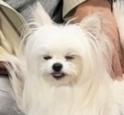 孫業