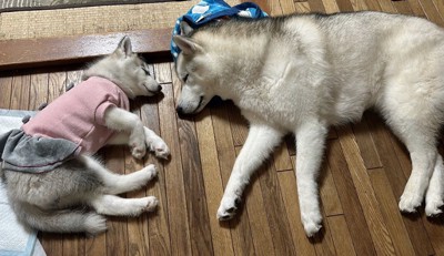 仲良し