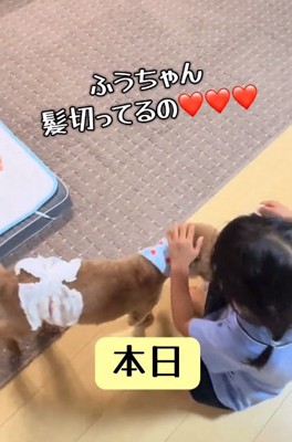 嬉しそうな女の子