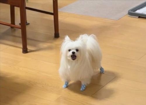 文句