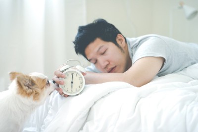 寝ている飼い主さんを起こしに来た犬
