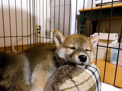お迎え