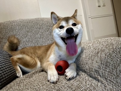 甘えん坊