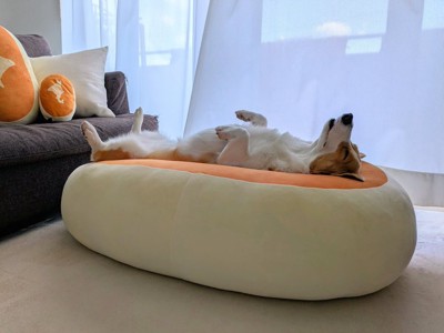 ヘソ天