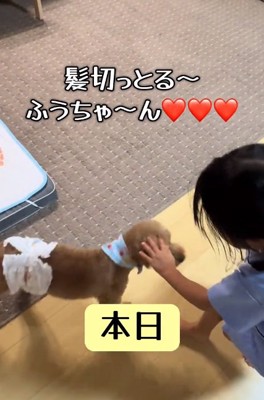 ふうたくんを撫でる女の子