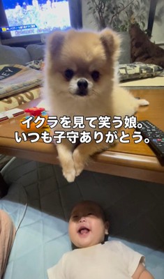 イクラちゃんと赤ちゃん3