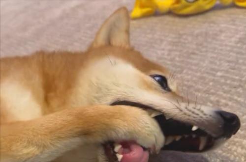 まさかの
