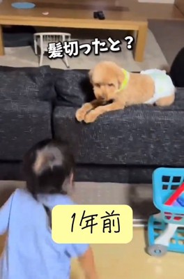 ふうたくんと女の子