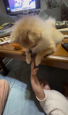 イクラちゃんと赤ちゃん6