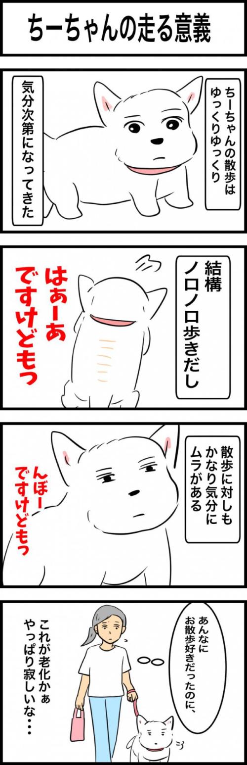 ちーちゃんですけどもっ【第328話】 1
