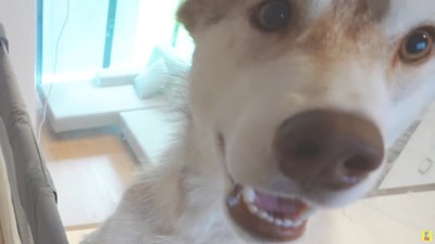 思わず困惑の表情に!