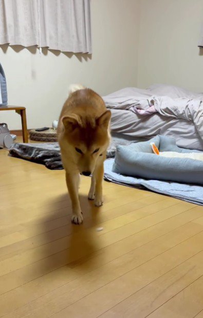 !?