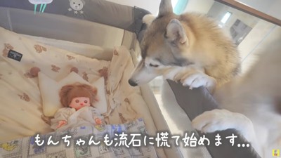 もんちゃんも怪訝な顔