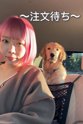 後部座席でお座りする大型犬