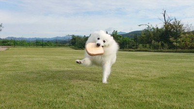 元気いっぱい