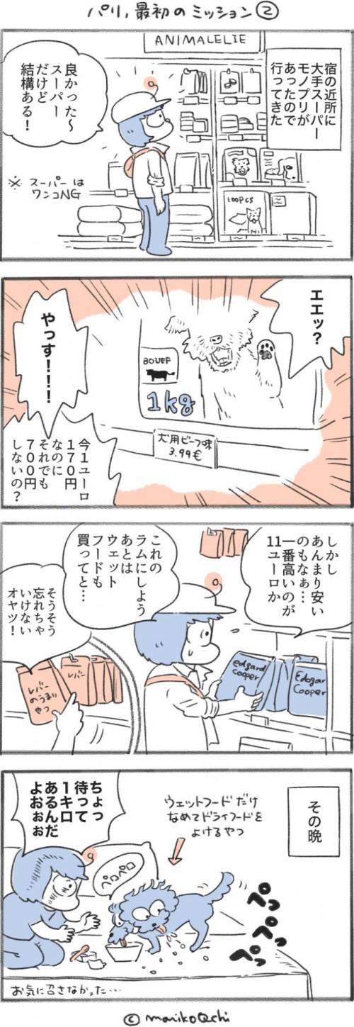 犬と暮らせば【第509話】