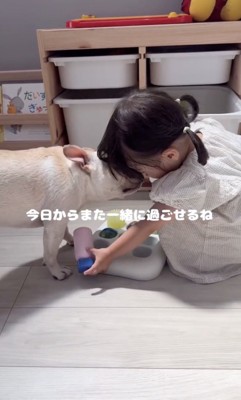 「おかえりなさい」