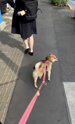 きっちりお見送り