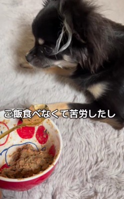 ご飯を食べずに困ることも