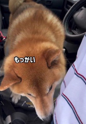 「本当の本当に現実?」