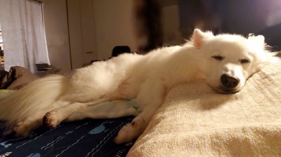 すっかり