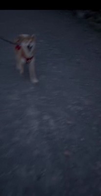 「おまたせ！」