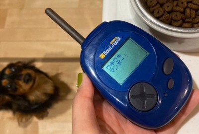 犬語