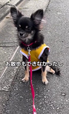 お散歩に行くのも困難