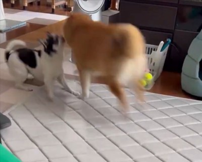 その瞬間
