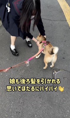 娘さんも寂しいよね