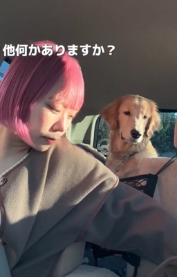 飼い主の動きを視線で追う