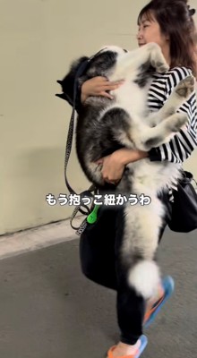 抱っこされた犬の前足が脱力している様子