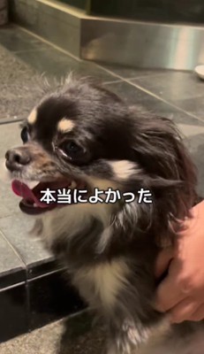 感謝の気持ちでいっぱい