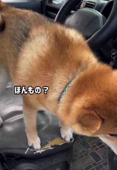 「これは本当に現実?」